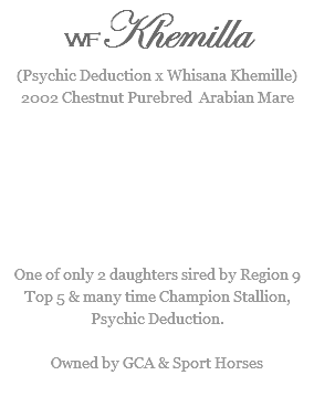WFKhemilla
(Psychic Deduction x Whisana Khemille)2002 Chestnut Purebred Arabian Mare One of only 2 daughters sired by Region 9 Top 5 & many time Champion Stallion, Psychic Deduction. Owned by GCA & Sport Horses
